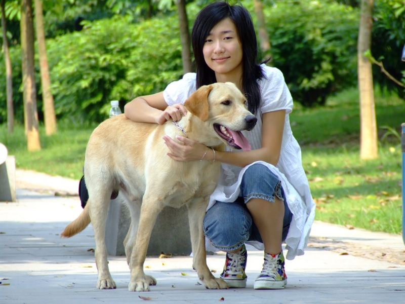 风中的绿叶的第一张照片--长春相亲服务中心