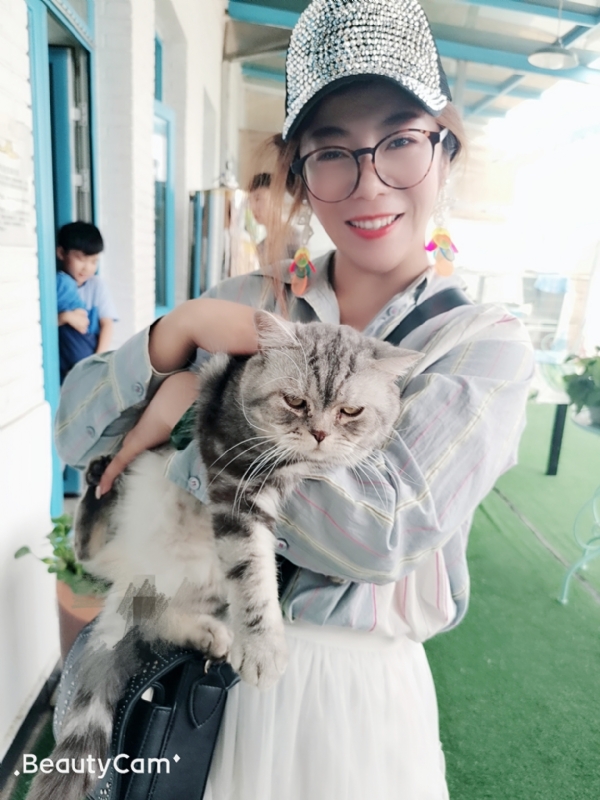 小黑猫的第一张照片--长春相亲服务中心