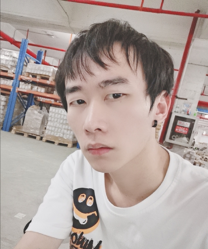 巷子里的猫的第一张照片--长春相亲服务中心