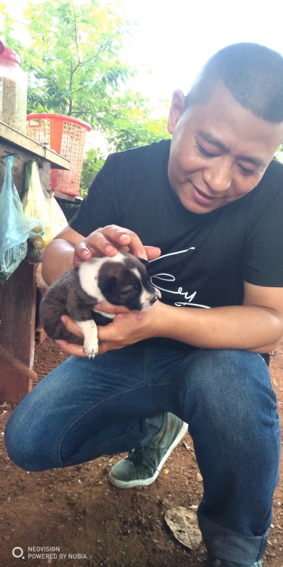 深圳相亲的第一张照片--长春相亲服务中心