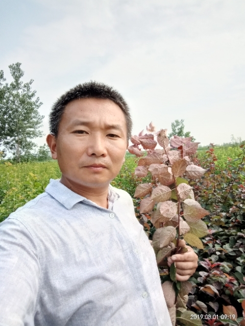 孩子爸的第二张照片--长春相亲服务中心