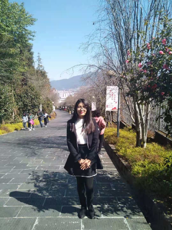 窗台上的桔梗的第一张照片--长春相亲服务中心