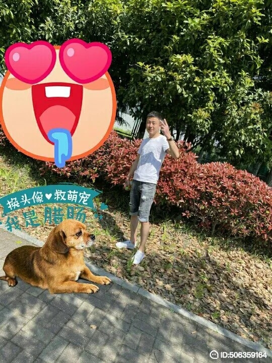 我若不坚强谁替我勇敢的第一张照片--长春相亲服务中心