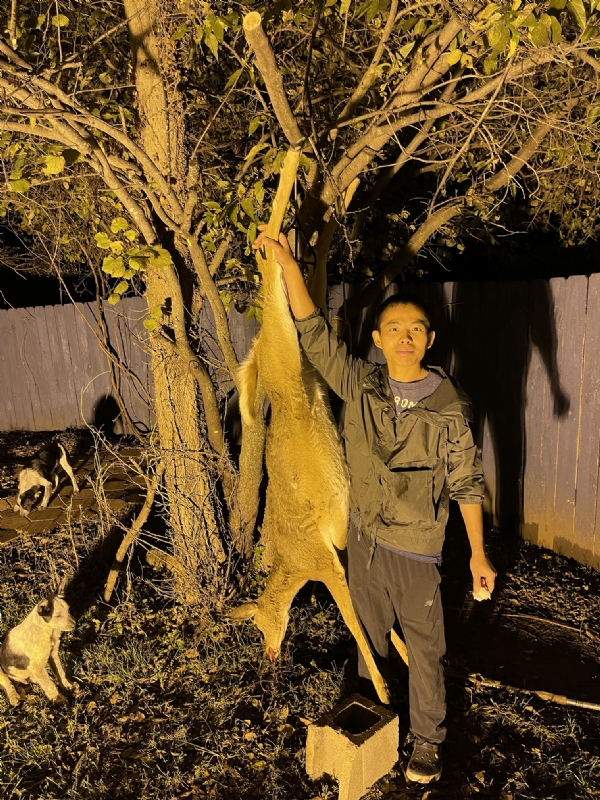 Kandy的第三张照片--长春相亲服务中心