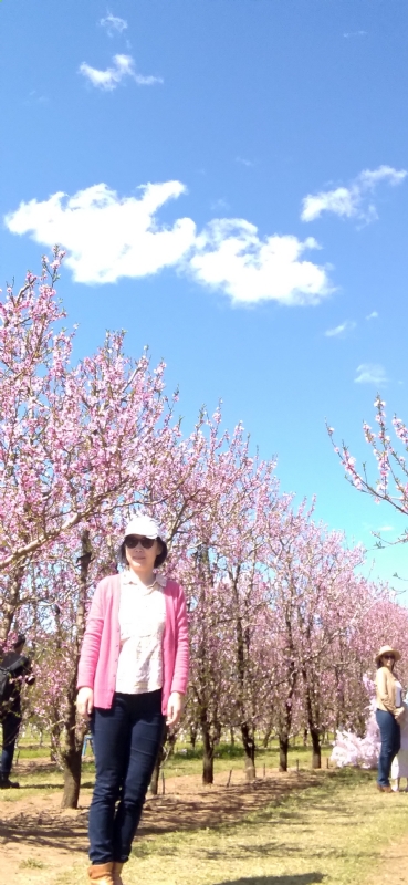 Grace的第二张照片--长春相亲服务中心