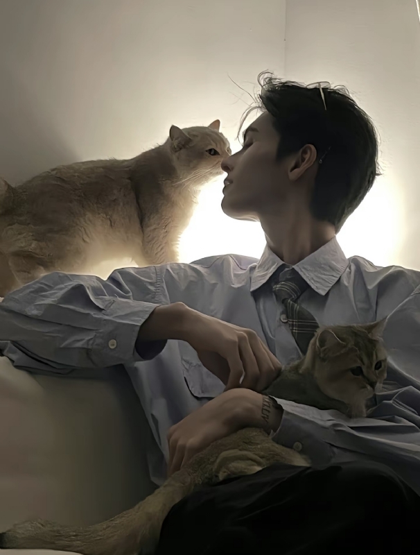 怪猫的第一张照片--长春相亲服务中心