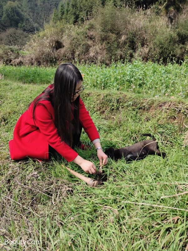 下一个春和秋的第一张照片--长春相亲服务中心
