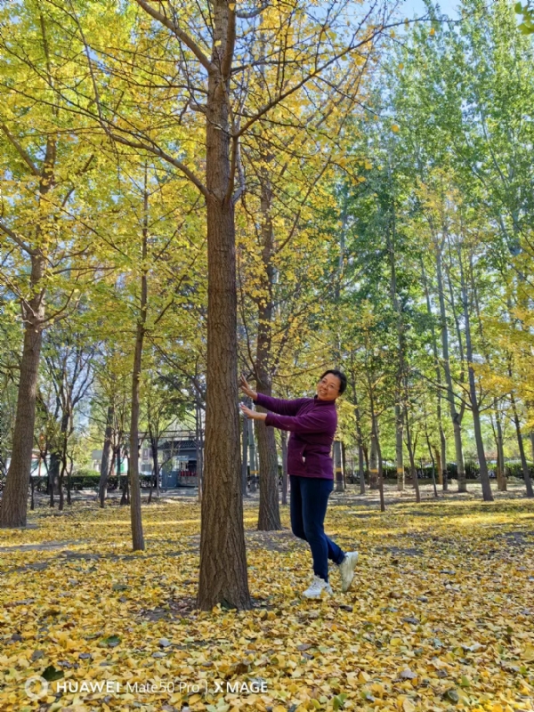 Shirley的第二张照片--长春相亲服务中心