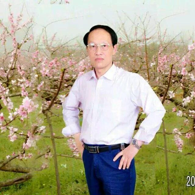 枫叶的第一张照片--长春相亲服务中心