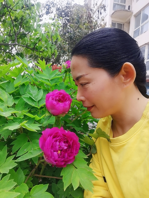 厚德载物的第一张照片--长春相亲服务中心