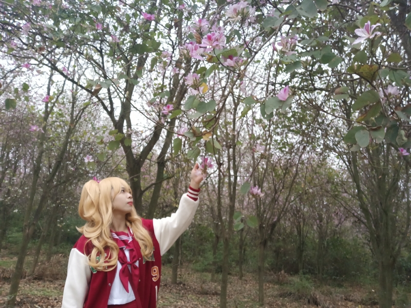 暮秋的第二张照片--长春相亲服务中心