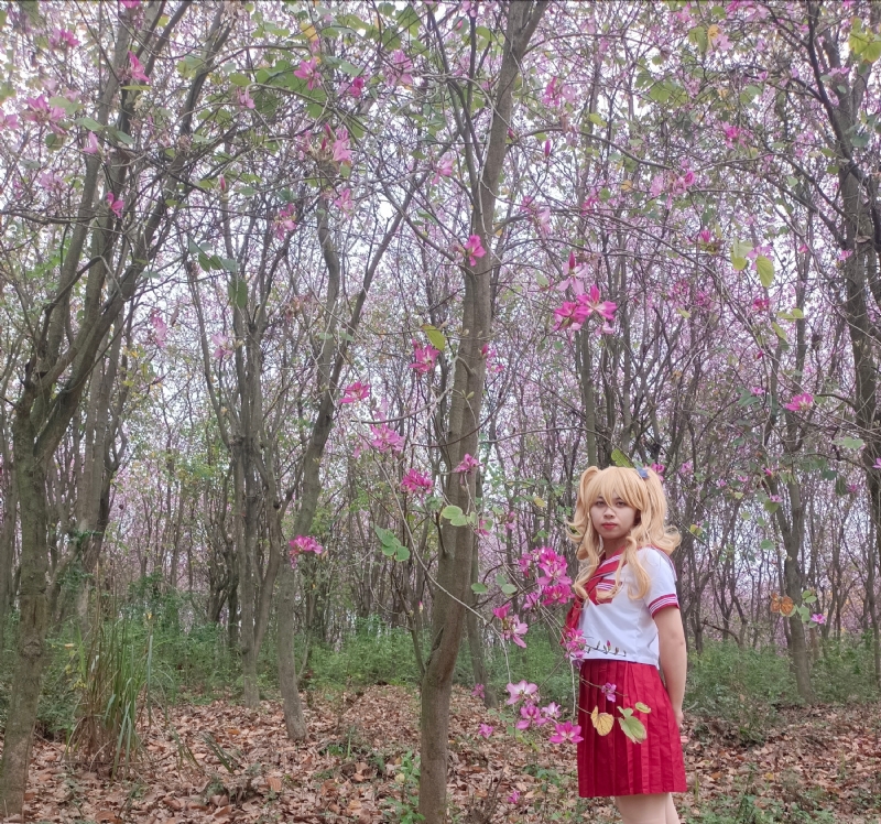 暮秋的第四张照片--长春相亲服务中心