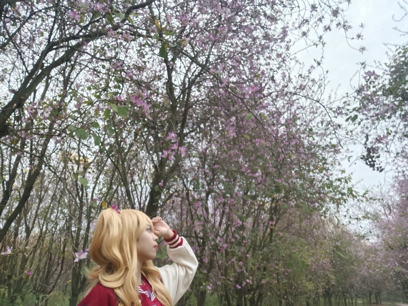 暮秋的第五张照片--长春相亲服务中心