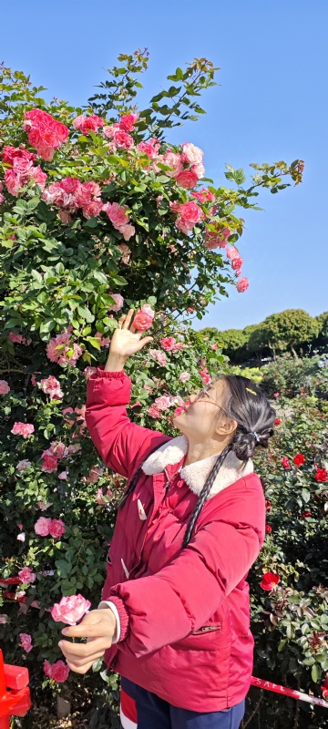 狗狗的第一张照片--长春相亲服务中心